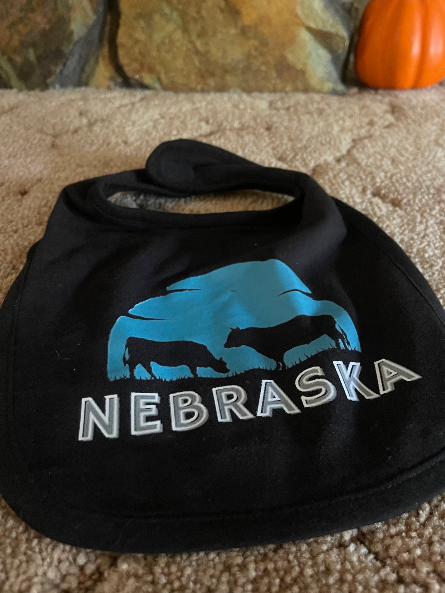 Nebraska Bib & Onesie